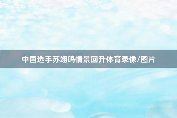 中国选手苏翊鸣情景回升体育录像/图片