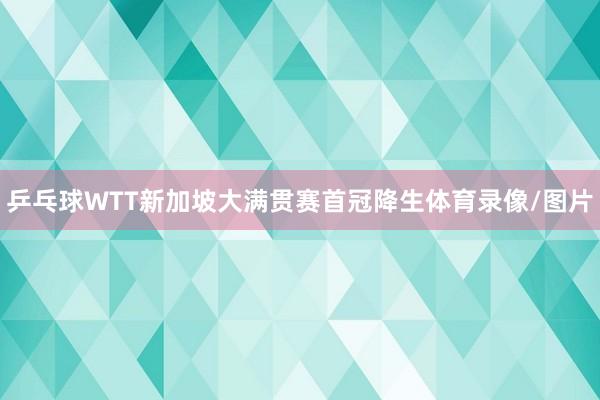 乒乓球WTT新加坡大满贯赛首冠降生体育录像/图片