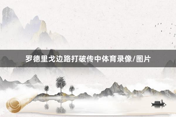 罗德里戈边路打破传中体育录像/图片