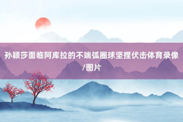 孙颖莎面临阿库拉的不端弧圈球坚捏伏击体育录像/图片