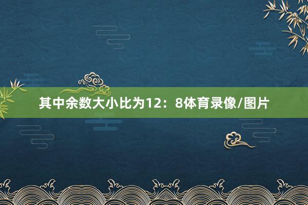 其中余数大小比为12：8体育录像/图片