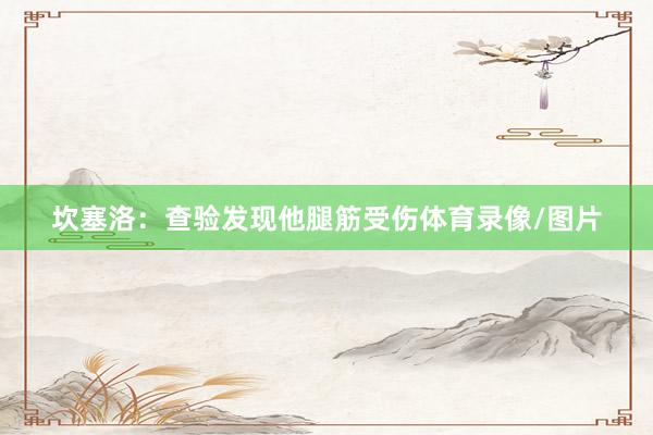 坎塞洛：查验发现他腿筋受伤体育录像/图片