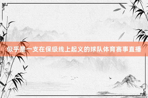 似乎是一支在保级线上起义的球队体育赛事直播