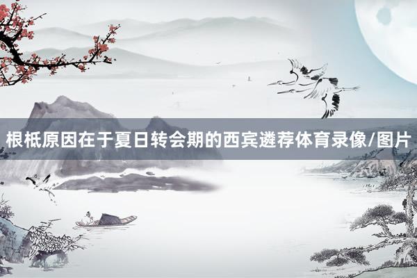 根柢原因在于夏日转会期的西宾遴荐体育录像/图片