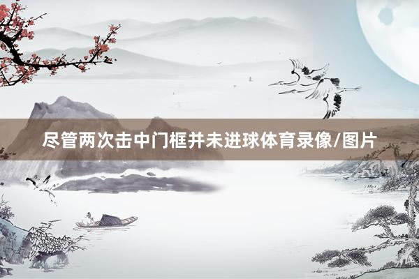 尽管两次击中门框并未进球体育录像/图片