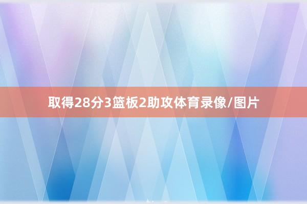取得28分3篮板2助攻体育录像/图片