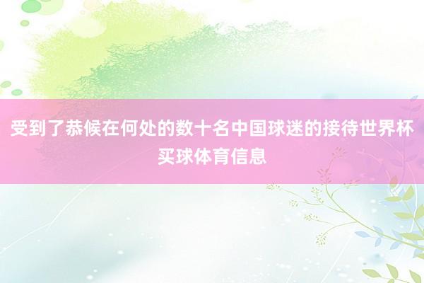受到了恭候在何处的数十名中国球迷的接待世界杯买球体育信息