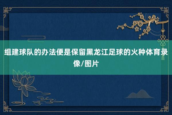 组建球队的办法便是保留黑龙江足球的火种体育录像/图片