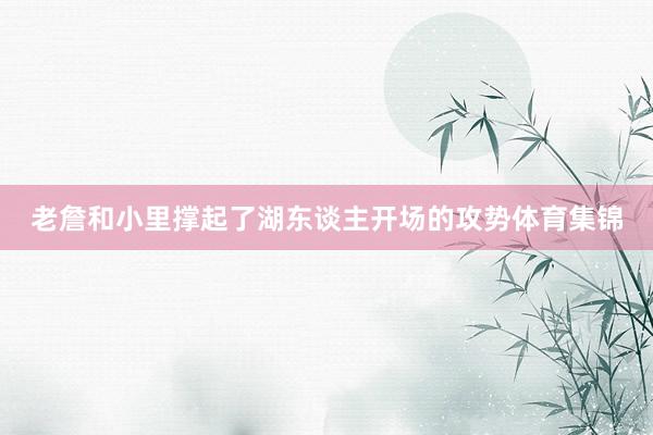 老詹和小里撑起了湖东谈主开场的攻势体育集锦