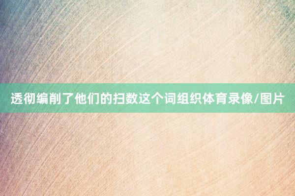 透彻编削了他们的扫数这个词组织体育录像/图片