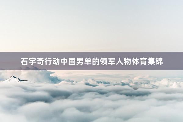 石宇奇行动中国男单的领军人物体育集锦