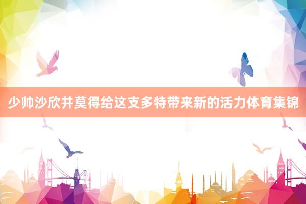 少帅沙欣并莫得给这支多特带来新的活力体育集锦