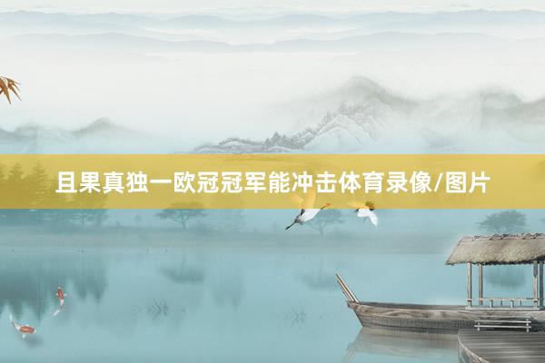 且果真独一欧冠冠军能冲击体育录像/图片