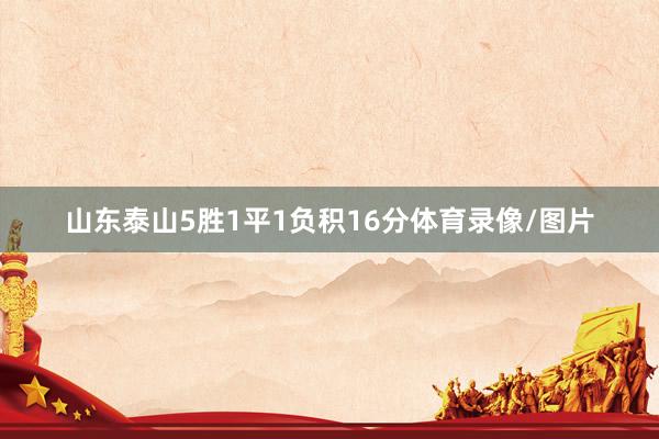 山东泰山5胜1平1负积16分体育录像/图片