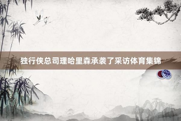 独行侠总司理哈里森承袭了采访体育集锦