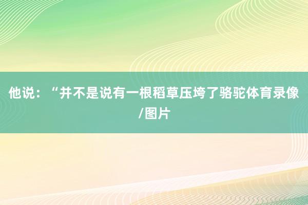 他说：“并不是说有一根稻草压垮了骆驼体育录像/图片