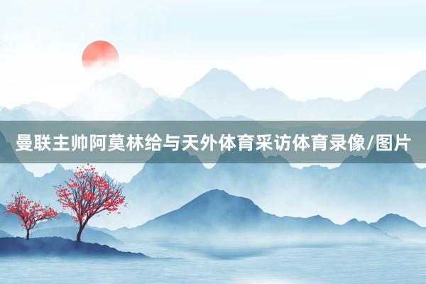 曼联主帅阿莫林给与天外体育采访体育录像/图片