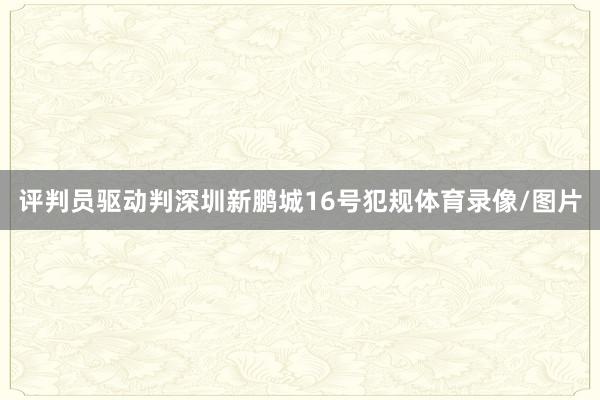 评判员驱动判深圳新鹏城16号犯规体育录像/图片