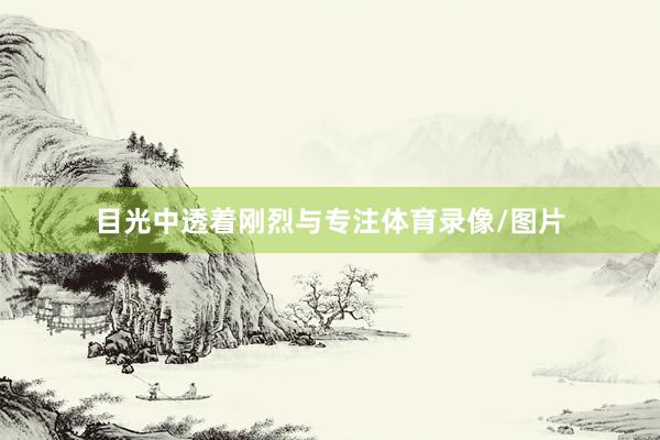 目光中透着刚烈与专注体育录像/图片