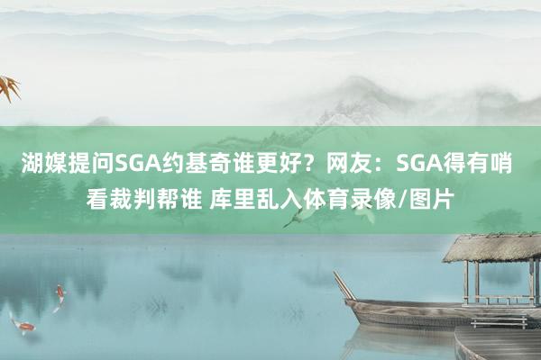 湖媒提问SGA约基奇谁更好？网友：SGA得有哨 看裁判帮谁 库里乱入体育录像/图片