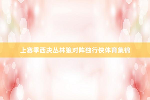 上赛季西决丛林狼对阵独行侠体育集锦