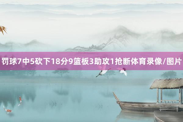 罚球7中5砍下18分9篮板3助攻1抢断体育录像/图片