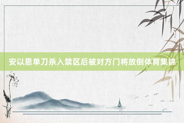 安以恩单刀杀入禁区后被对方门将放倒体育集锦