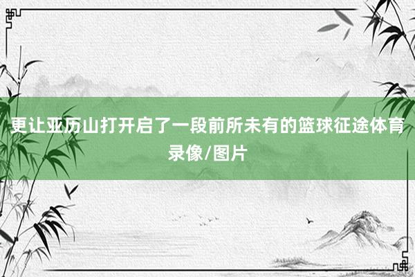 更让亚历山打开启了一段前所未有的篮球征途体育录像/图片