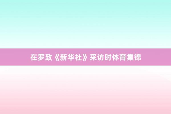 在罗致《新华社》采访时体育集锦