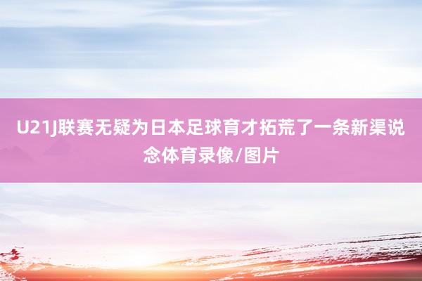 U21J联赛无疑为日本足球育才拓荒了一条新渠说念体育录像/图片