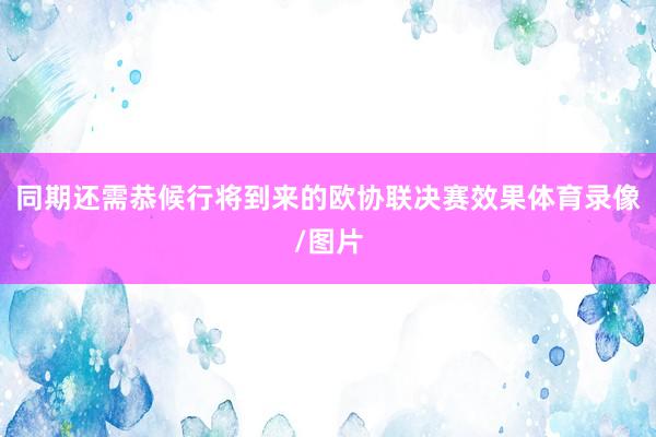 同期还需恭候行将到来的欧协联决赛效果体育录像/图片