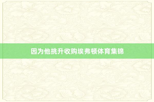 因为他挑升收购埃弗顿体育集锦