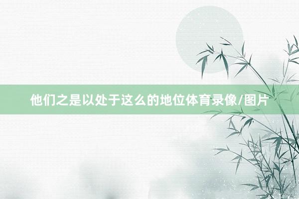 他们之是以处于这么的地位体育录像/图片