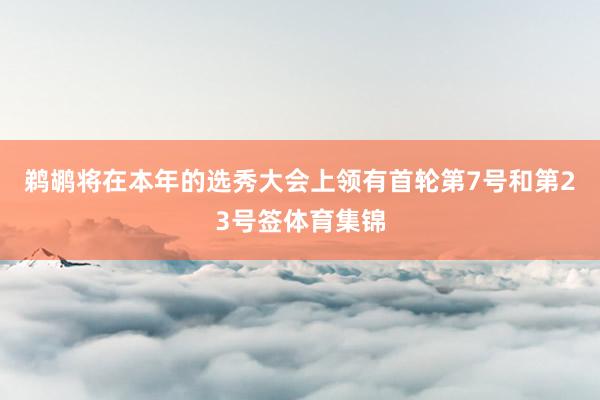 鹈鹕将在本年的选秀大会上领有首轮第7号和第23号签体育集锦