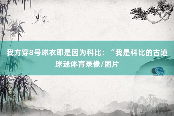 我方穿8号球衣即是因为科比：“我是科比的古道球迷体育录像/图片