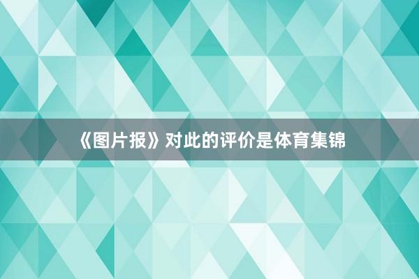 《图片报》对此的评价是体育集锦