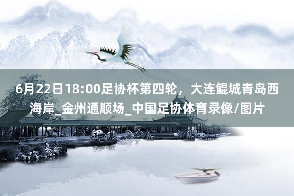 6月22日18:00足协杯第四轮，大连鲲城青岛西海岸_金州通顺场_中国足协体育录像/图片