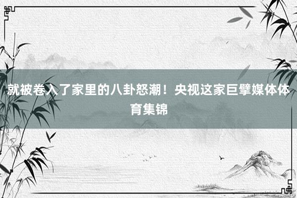 就被卷入了家里的八卦怒潮！央视这家巨擘媒体体育集锦