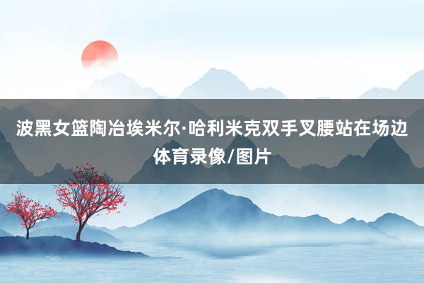 波黑女篮陶冶埃米尔·哈利米克双手叉腰站在场边体育录像/图片