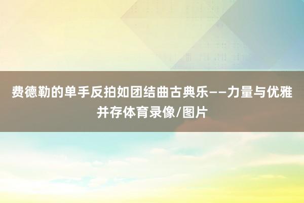费德勒的单手反拍如团结曲古典乐——力量与优雅并存体育录像/图片