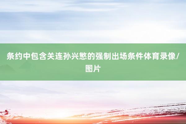条约中包含关连孙兴慜的强制出场条件体育录像/图片