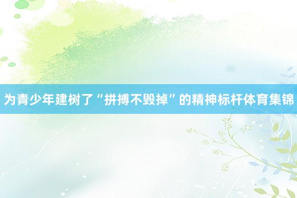 为青少年建树了“拼搏不毁掉”的精神标杆体育集锦