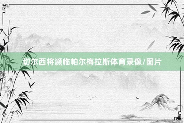 切尔西将濒临帕尔梅拉斯体育录像/图片