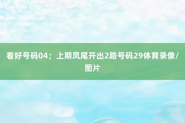 看好号码04;上期凤尾开出2路号码29体育录像/图片