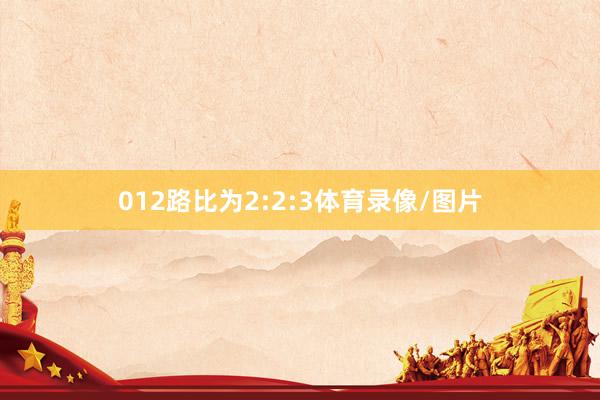 012路比为2:2:3体育录像/图片