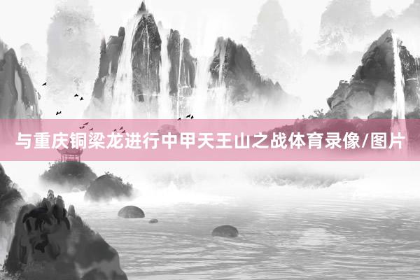 与重庆铜梁龙进行中甲天王山之战体育录像/图片