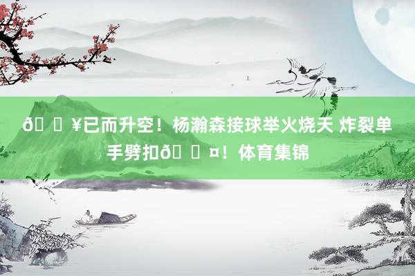 💥已而升空！杨瀚森接球举火烧天 炸裂单手劈扣😤！体育集锦