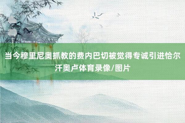 当今穆里尼奥抓教的费内巴切被觉得专诚引进恰尔汗奥卢体育录像/图片
