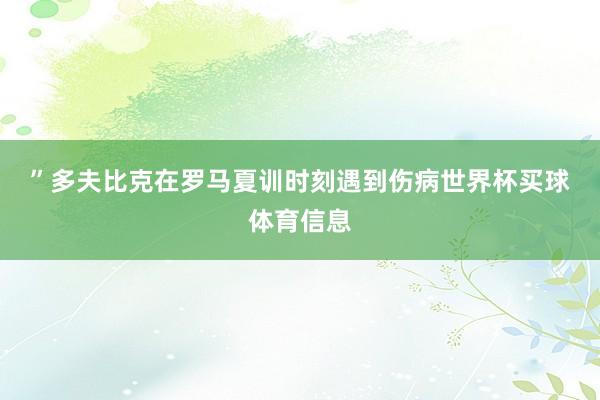 ”　　多夫比克在罗马夏训时刻遇到伤病世界杯买球体育信息