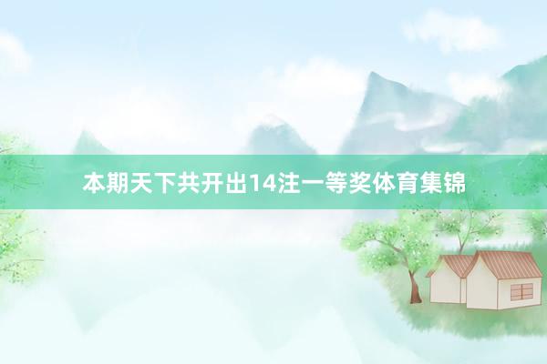 本期天下共开出14注一等奖体育集锦